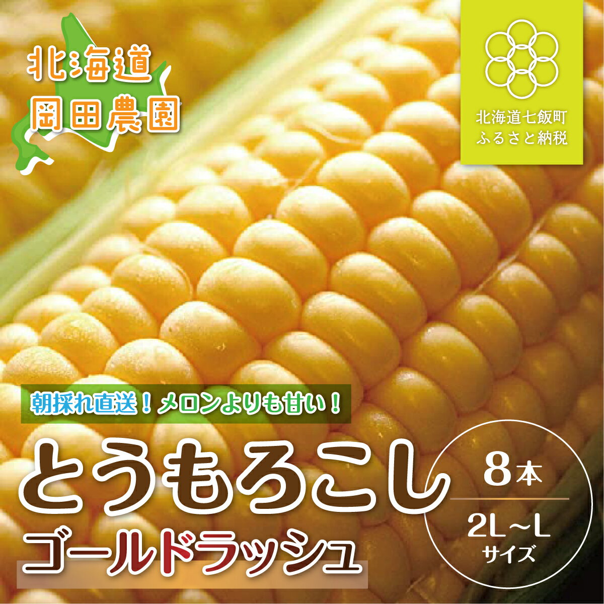 【ふるさと納税】【令和8年発送先行予約】北海道七飯町産とうもろこし「ゴールドラッシュ」8本セット ふるさと納税 人気 おすすめ ランキング とうもろこし ゴールドラッシュ おいしい 北海道 七飯町 送料無料 NAZ013