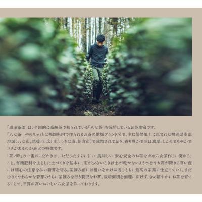 ふるさと納税 福智町 原田茶園 玉露ティーバッグ 雅歌 64g |  | 03