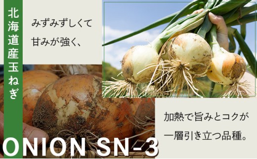 【先行予約】畑から直送の新鮮野菜！玉ねぎ（SN-3）10kg【a168-002】 10kg