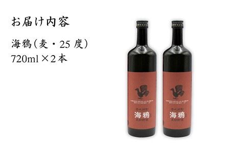 麦焼酎 海鴉 25度 720ml 2本《壱岐市》【天下御免】[JDB034] 13000 13000円  コダワリ麦焼酎・むぎ焼酎 こだわり麦焼酎・むぎ焼酎 おすすめ麦焼酎・むぎ焼酎 おススメ麦焼酎・