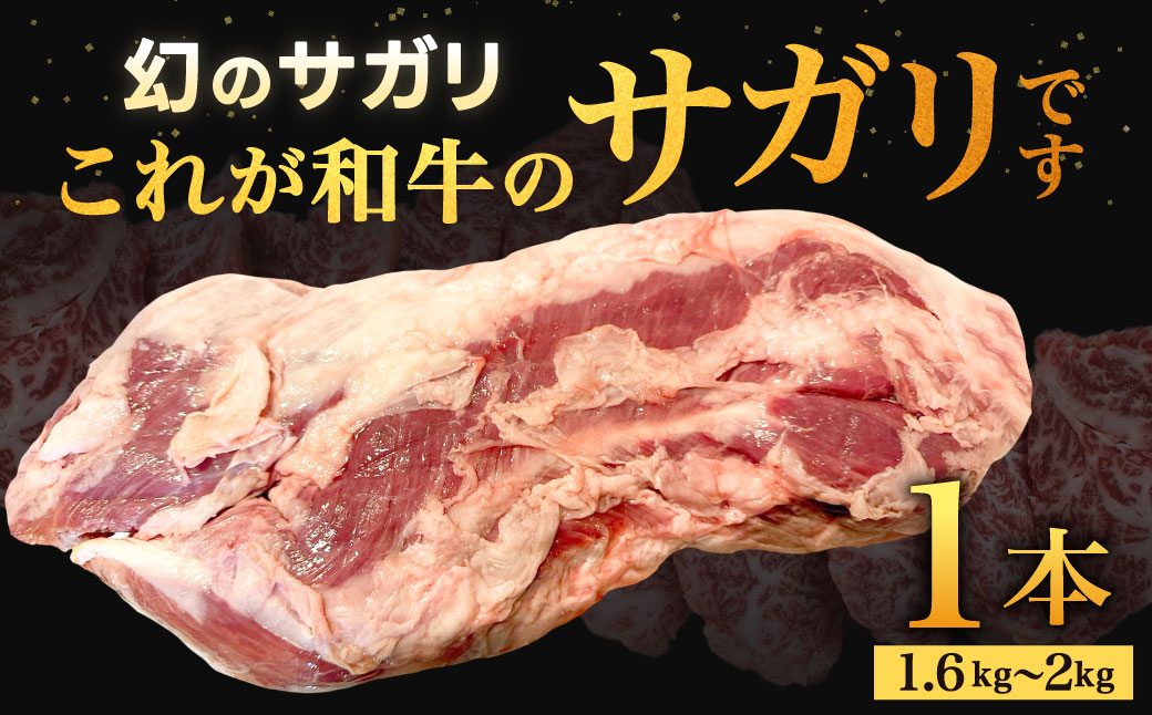 幻のサガリ これが和牛のサガリです【2027年1月上旬～2月下旬発送】黒毛和牛 和牛 サガリ 肉 お肉 高級 サシ 焼肉 BBQ 希少 新鮮 国産 九州産 冷蔵