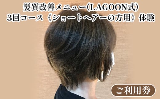 髪質改善メニュー（LAGOON式）3回コース《ショートヘアーの方用》《体験 ご利用券 美容 サロン 美容室 ヘアケア トレーニング ケア 美容体験 チケット》