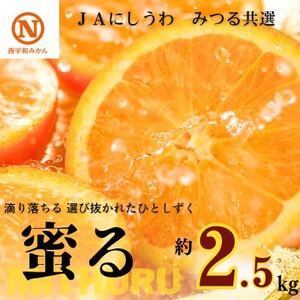 JAにしうわの季節の柑橘(みつる共選「蜜る」約2.5kg)【C08-74】【1447980】