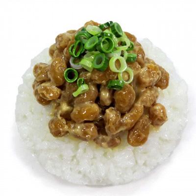 ふるさと納税 弥富市 納豆ご飯の食品サンプル