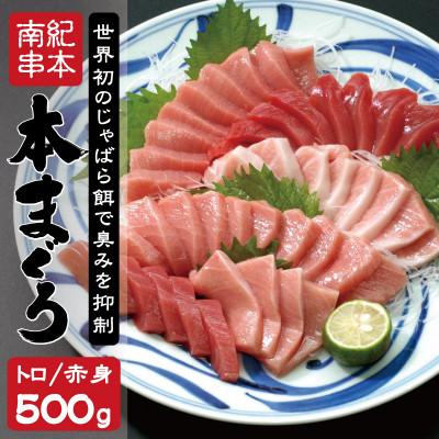 ふるさと納税 串本町 本マグロ(養殖) トロ&amp;赤身セット 500g 【nks110D】