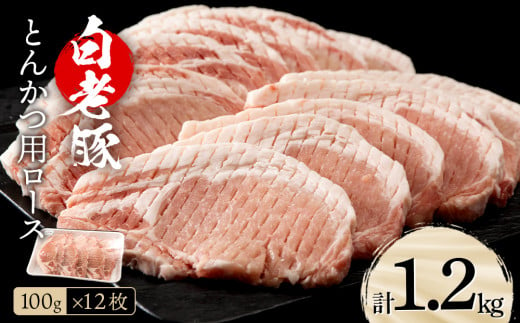 
北海道産 白老豚 ロース とんかつ用 100g×12枚
