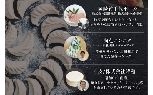 餃子 岡崎餃子 15個 [グローアップ 愛知県 岡崎市 ok23bzw550002] ぎょうざ ギョウザ 冷凍餃子 冷凍ギョウザ 冷凍ぎょうざ おかず 冷凍おかず おつまみ ツマミ