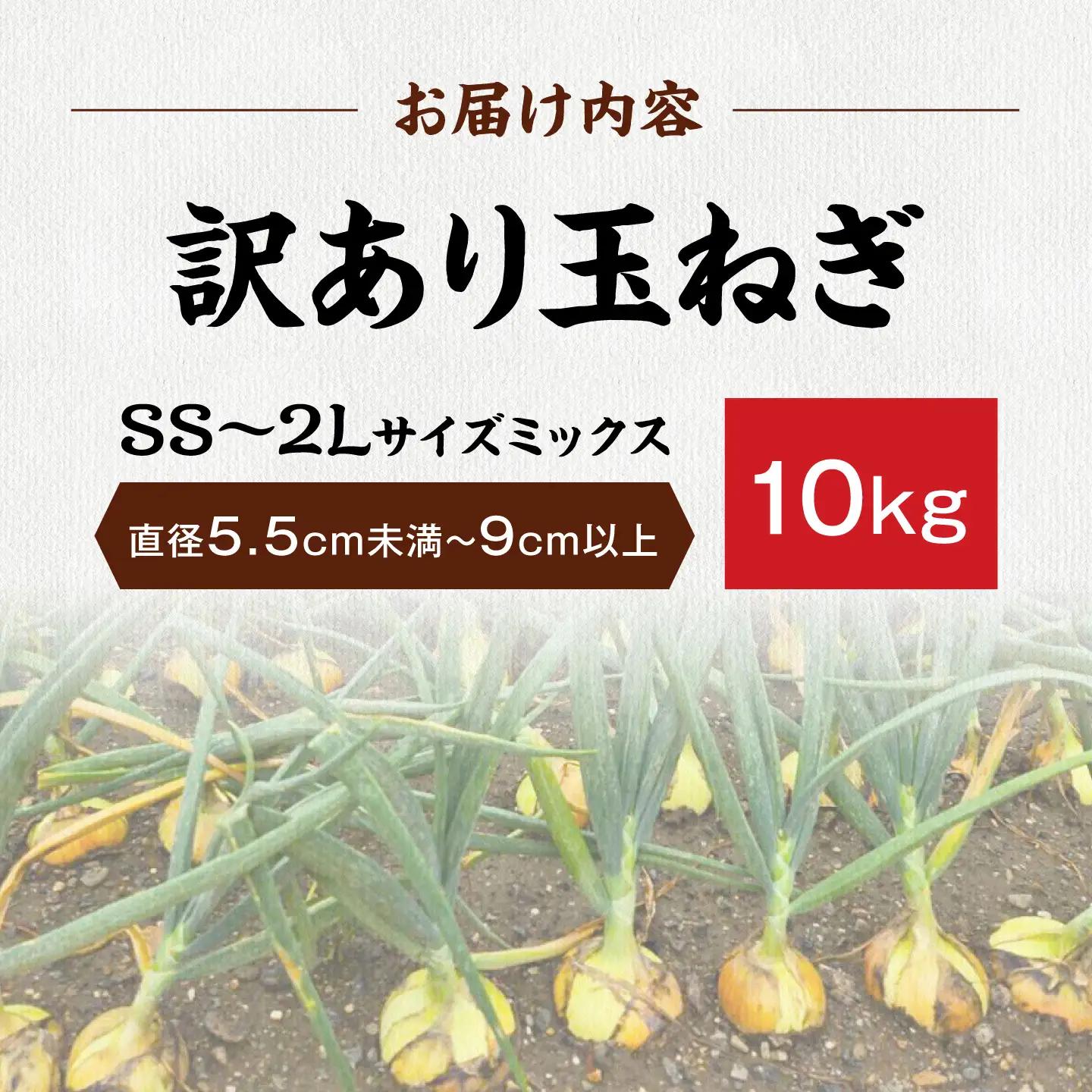 【訳あり】玉ねぎ10kg（全サイズミックス）[AQDZ004]玉ねぎ