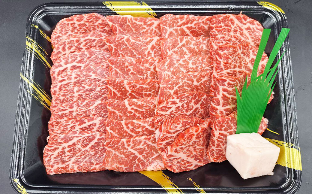 【1ヶ月毎5回定期便】熊本県産 A5等級 黒毛和牛 和王 ウデ・モモ 焼肉用 400g 計2000g