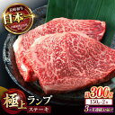 【ふるさと納税】【3回定期便】ランプ ステーキ 300g（150g×2枚） / ステーキ 長崎和牛 A4～A5ランク 希少部位 / 諫早市 / 野中精肉店[AHCW032]