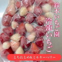 【ふるさと納税】栃木県茂木町産　紅白冷凍いちご　完熟　とちおとめ&ミルキーベリー　1kg(500g×2袋)【配送不可地域：離島】【1517431】