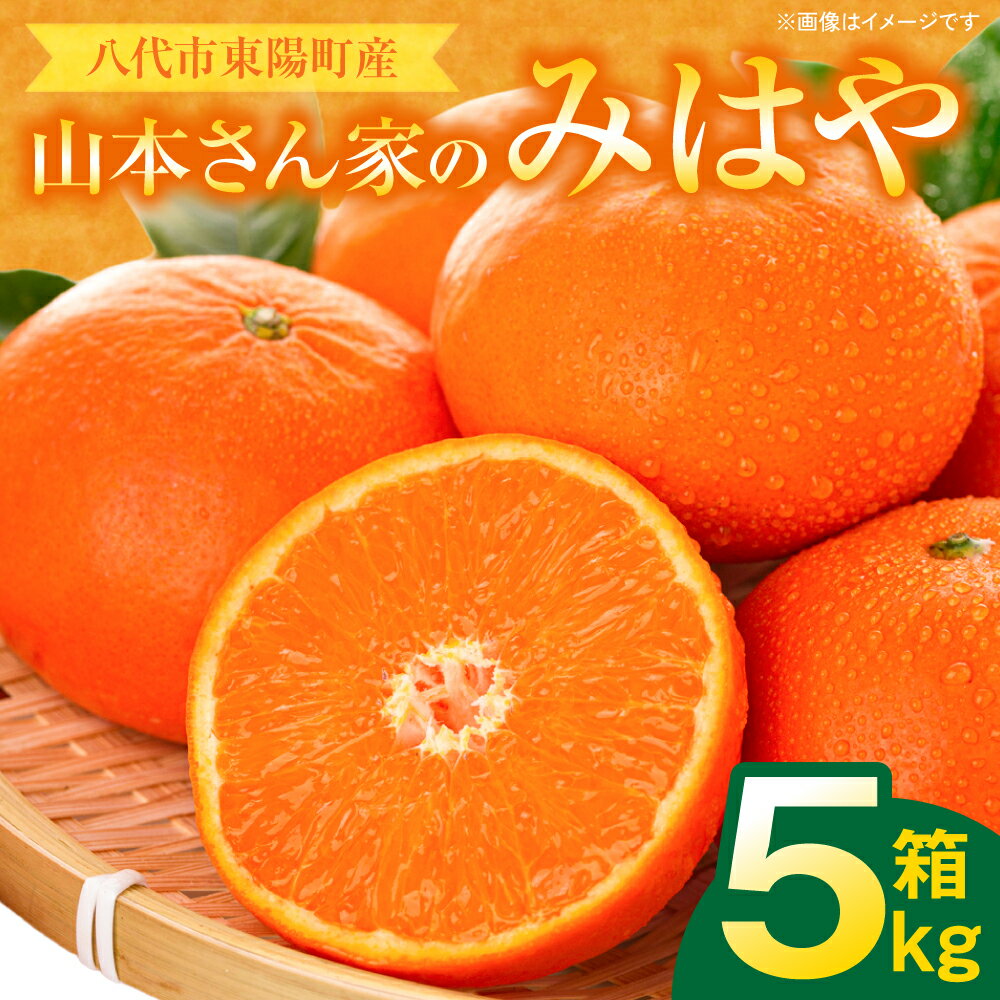 【ふるさと納税】【先行予約】 八代市東陽産 山本さん家の「 みはや 」 5kg みかん 柑橘 フルーツ 果物 果実 ミカン 蜜柑 熊本県 八代市 送料無料 【2026年12月上旬より順次発送】