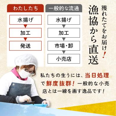 ふるさと納税 陸前高田市 【先行受付】 三陸産 生うに 500g(250g×2パック) 塩水パック 無添加 ミョウバン不使用 |  | 03