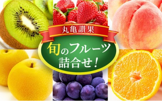 【丸亀讃果】【定期便2ヶ月】今が旬の厳選果実 詰め合わせ 旬のフルーツ 食べ比べ いちご みかん デコポン びわ 桃 梨 ぶどう 柿 キウイ 柑橘 柑橘類 果物 デザート おやつ 旬 産地直送 旬の果