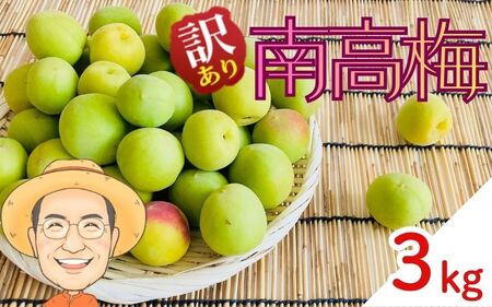 南高梅 青梅 約3kg (＋保証100g)【訳あり】 サイズ不揃い カキエモン農園【BX-kkem012】