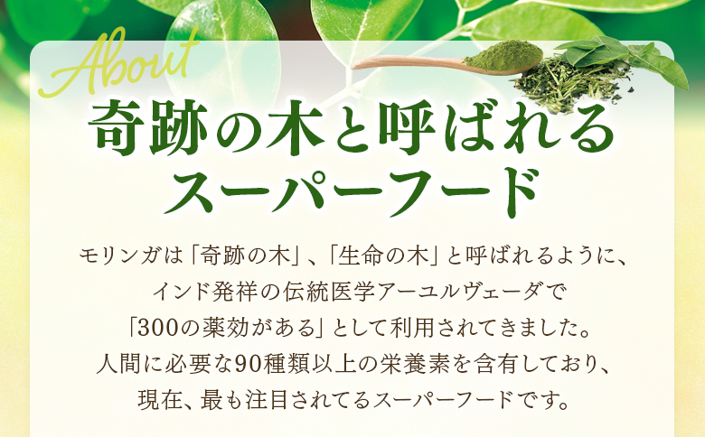 ＜ひなたの恵みモリンガパウダー50g×2P＞宮崎県三股町産モリンガ使用「ひなたモリンガ」パウダー50g入り(計100g・50g×2個)【MI307-ys】【吉原建設株式会社】 2袋