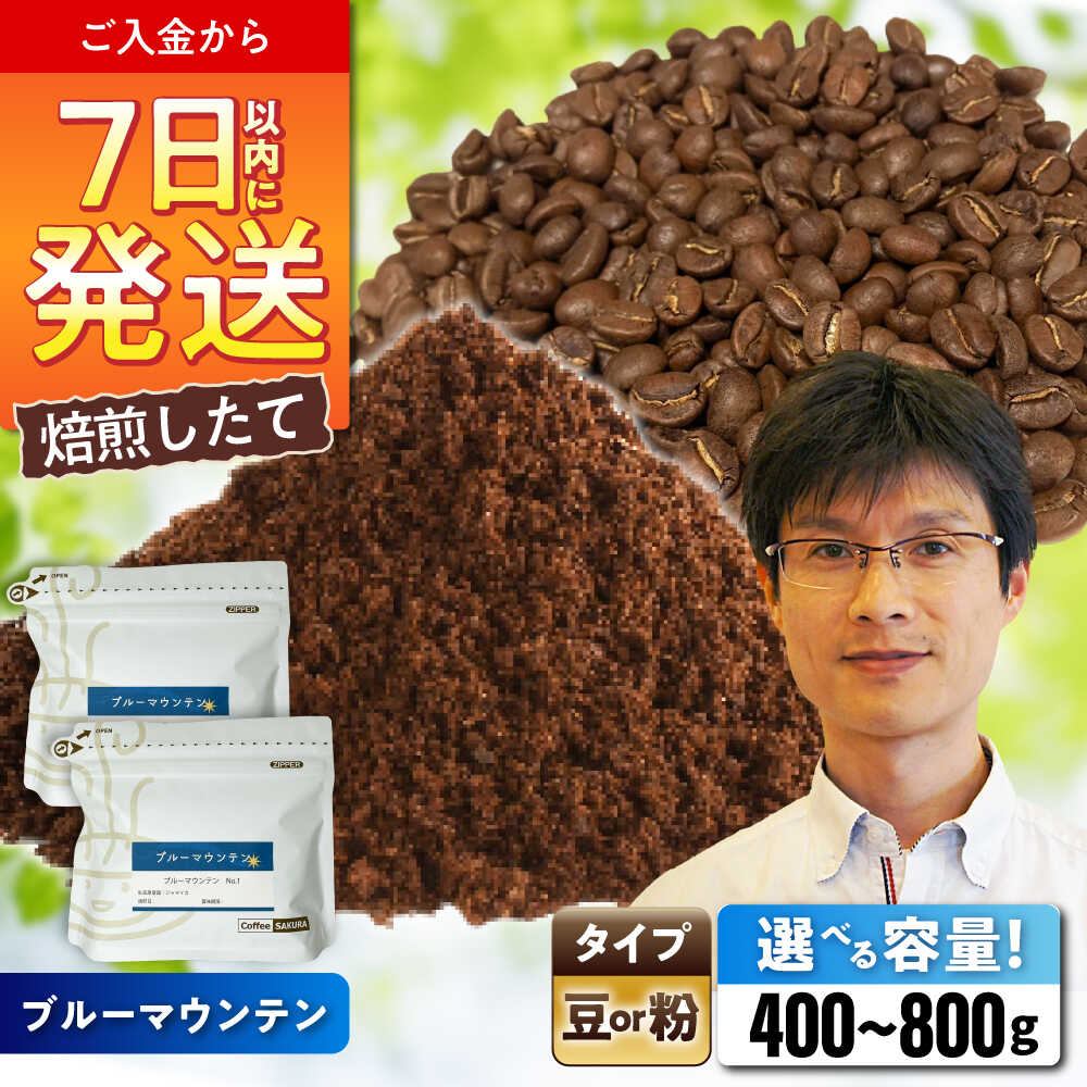 【ふるさと納税】【選べる容量】 ブルーマウンテンNo.1 コーヒー (豆 or 粉) / 珈琲 コーヒー / 瀬戸市 / Coffee　SAKURA[BBAB008]