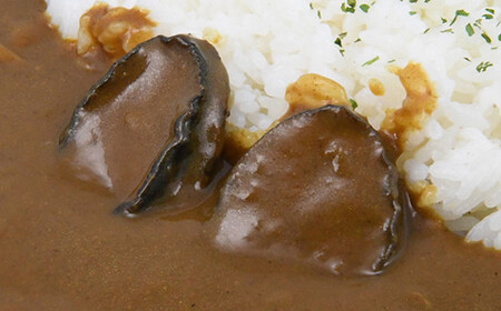 北海道福島町×函館五島軒 北海道福島町アワビカレー 5個セット FKB037
