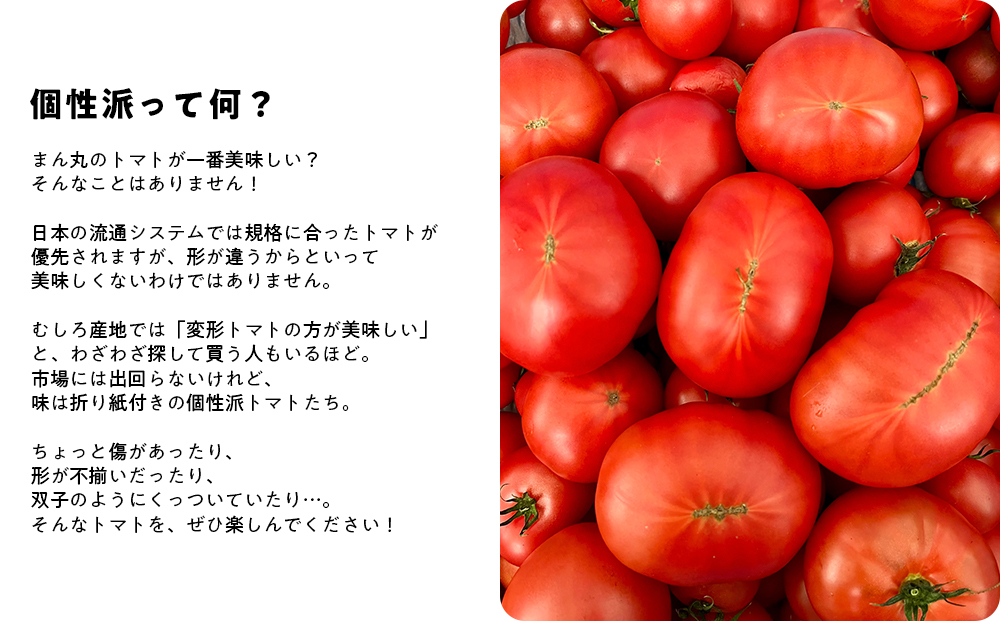 産地直送 個性派 フルーツトマト 1kg　日高みよし農園 大玉トマト 個性派トマト 新鮮トマト 1キロ
