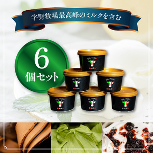 幸せな牛のミルクからできたジェラート パティシエおまかせ6個セット アイス ジェラート ミルク 