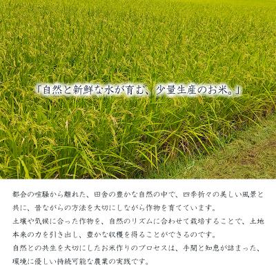 ふるさと納税 高原町 【数量限定】農薬・化学肥料不使用 無農薬「陽の光穂(ひのひかり)」3kg(1kg×3p) TF803 |  | 02