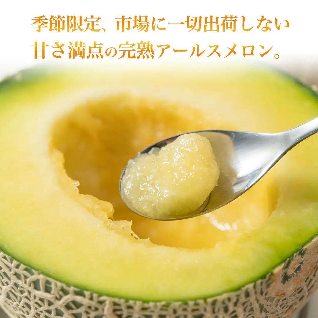 【2026年8月下旬発送開始】 季節 限定 ！ 甘さ満点 アールスメロン 3玉 入箱 果物 フルーツ 農家直送 産直 青肉メロン 特産品 マスクメロン メロン くだもの 茨城 [BC044sa]