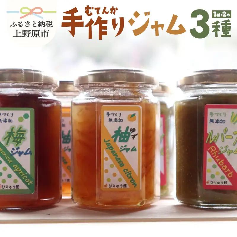 びりゅう館手作り　ジャム3種　6本セット 無添加 ジャム 梅 ルバーブ ゆず セット フルーツ 手作り びりゅう館 手作りジャム6本セット プレゼント 贈り物 贈答 ギフト 夏ギフト 送料無料 山梨県 上野原市
