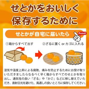 【2025年2月末頃より発送】ご家庭用訳あり　紀州和歌山産　せとか　約5kg【1292213】