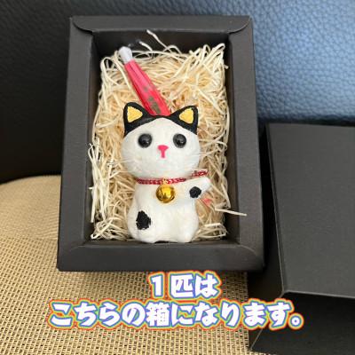 ふるさと納税 東秩父村 笠山猫(かさやまねこ)(4)はっちぃー