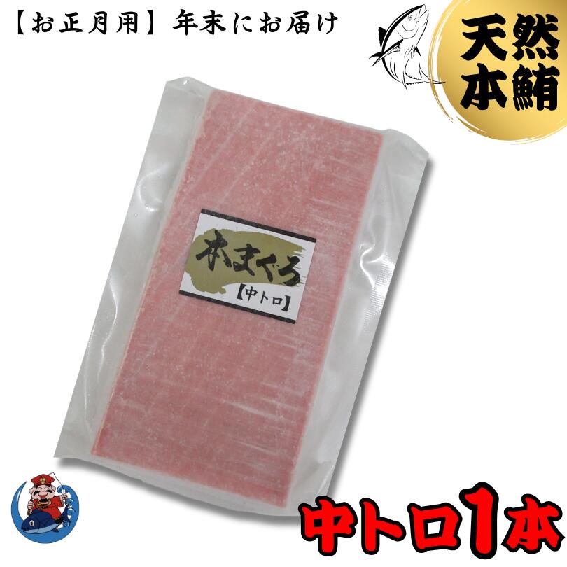 【ふるさと納税】 年内発送 神奈川県漁連 天然 本マグロ 中トロ サク お正月用 12月30日にお届け 約150g 本鮪 マグロ まぐろ 中とろ トロ 魚 刺身 年末 年始 期間限定 神奈川県漁業協同組合連合会 神奈川県 三浦市 おすすめ ランキング プレゼント ギフト