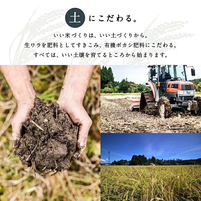 【6回定期便】令和8年産 新米 コシヒカリ 藤子ばぁちゃんのまごころ米 精米 10kg ( 5kg × 2袋 ) × 6回 ジャパンファーム