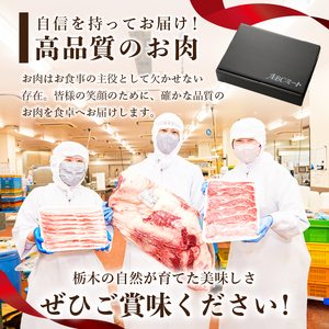 那須三元豚　チャーシューと西京味噌漬けを3セットで【 豚肉 栃木県 那須塩原市 】 ns004-028