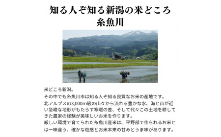 『新之助』玄米20kg 新潟県糸魚川産 2023年 令和5年産 しんのすけ 農家自慢の特選米