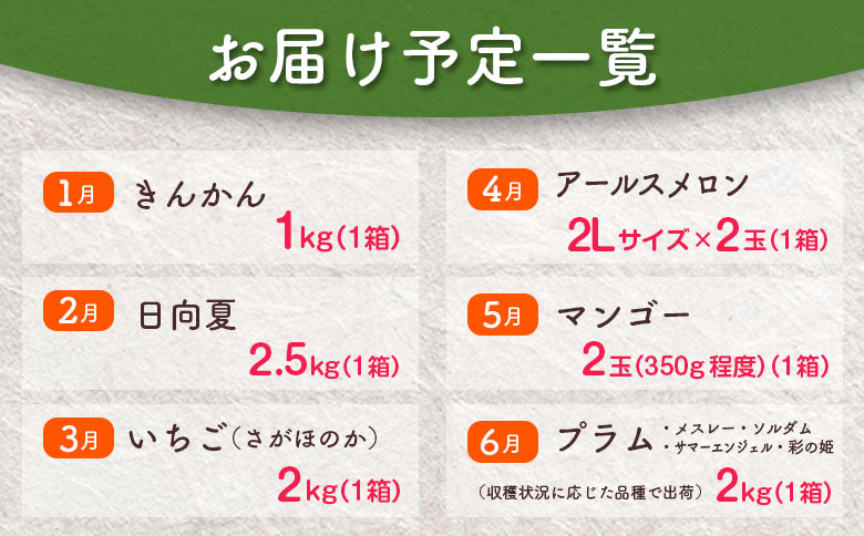 旬の宮崎 フルーツ 厳選便＜全12回＞定期便 国産 果物 おすすめ 旬 宮崎県産 産地直送 マンゴー ライチ いちご ふどう メロン【G48】