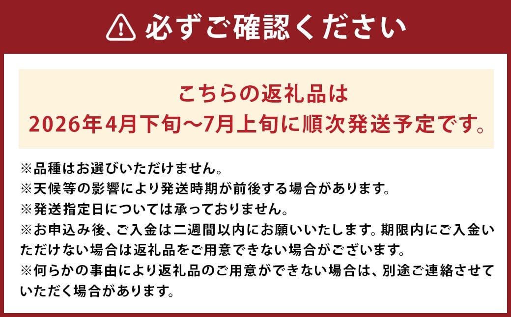 大玉 すいか 1玉 8kg 以上 西瓜 益城産