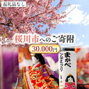 【ふるさと納税】【返礼品なし】桜川市へのご寄附30,000円 茨城県 桜川市 桜川市への寄附 返礼品なし