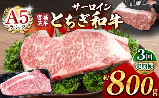 【定期便3回】宮福笑牛(とちぎ和牛) A5 サーロインステーキ 約200gx4枚  | 牛肉 和牛 ステーキ  定期便 サーロイン ステーキ ステーキ用 旨味 美味しい 肉 お肉  栃木県共通返礼品 栃木県 真岡市