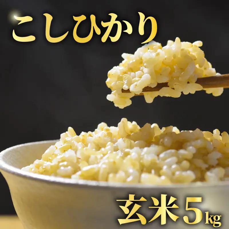 【先行予約】 玄米 5kg こしひかり 令和8年産 【 玄米 新米 】