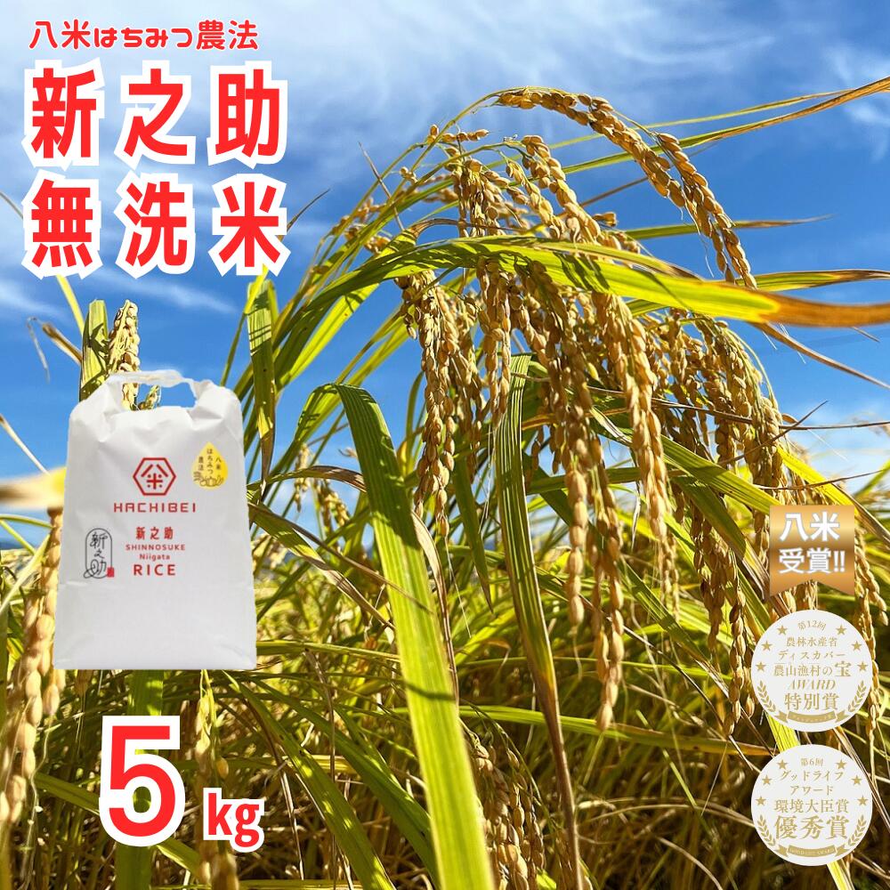 【ふるさと納税】【令和7年産】無洗米 新之助 5kg はちみつ農法 HACHIBEI 八米 | お米 米 こめ コメ しんのすけ 白米 精米 新潟県産米 新潟米 ブランド米 5キロ 農家直送 ほんのり甘い 環境大臣賞 特別賞 受賞米 自宅用 一人暮らし お取り寄せ 新潟県 阿賀野市 1L19011
