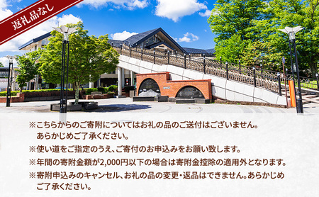 【返礼品なし】長野県軽井沢町 寄附のみの応援受付 100,000円コース（返礼品なし 寄附のみ 100,000円）