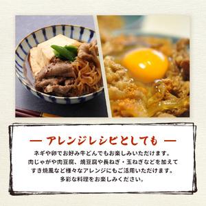 【父の日】浅草今半 牛どんの具(H051)