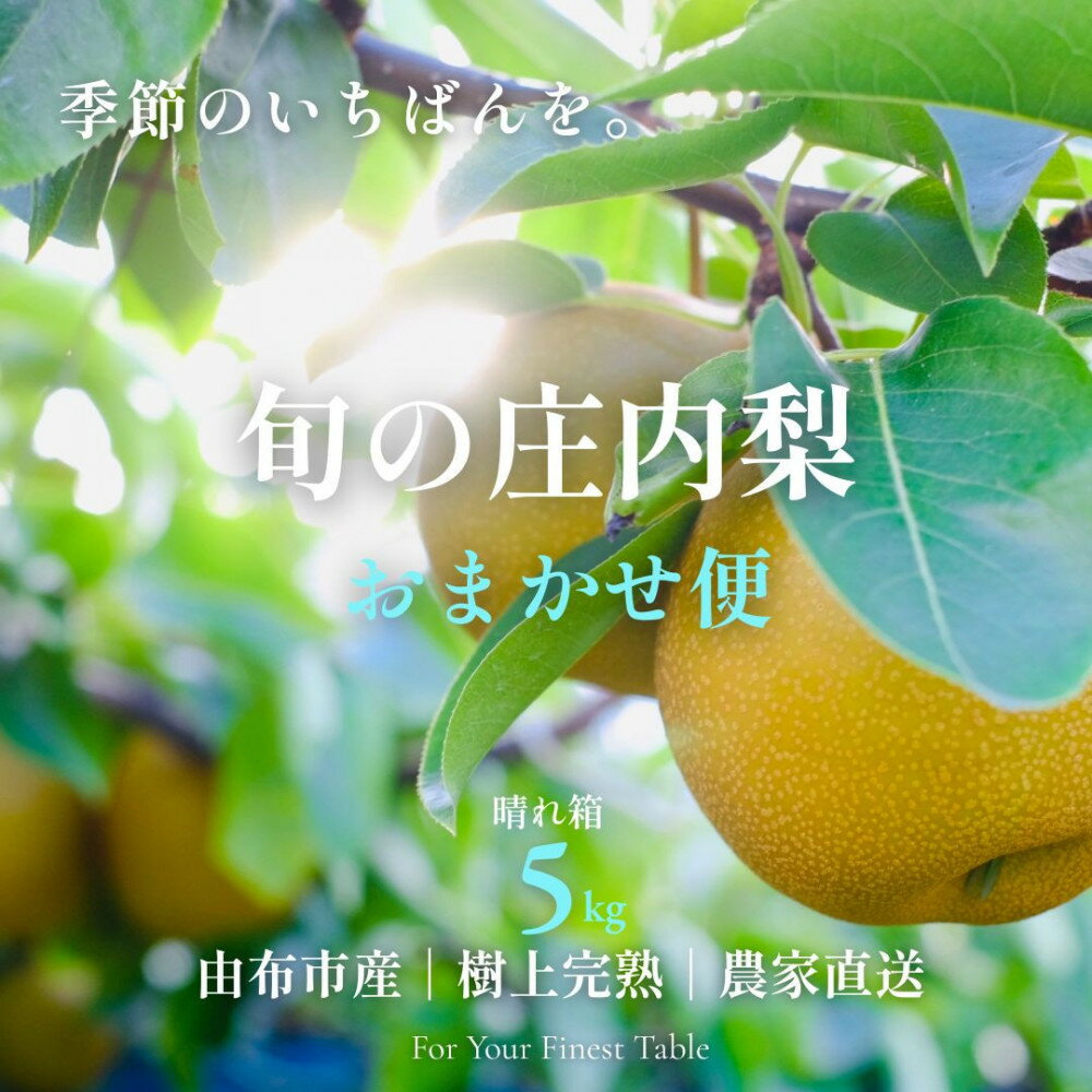 【ふるさと納税】【約5kg】庄内梨の藤原 旬のおまかせ便 由布市産 庄内梨【晴れ箱】樹上完熟 農家直送 大分由布市特産品 8月上旬から発送＜庄内梨の藤原＞ | 期間限定 数量限定 季節限定 果物 フルーツ 梨 幸水 豊水 あきづき 新高 5kg 送料無料 湯布院 由布院　ゆふいん