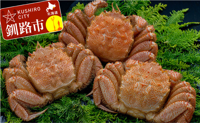 
            北海道産 ボイル毛蟹 3尾 1.0kg ふるさと納税 かに 蟹 F4F-5332
          