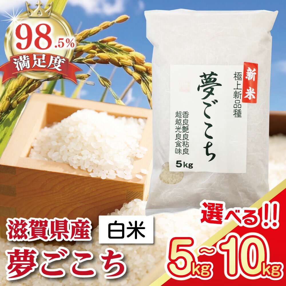 【ふるさと納税】【7年産】近江米 夢ごこち 白米 5kg / 10kg 選べる 国産 滋賀県産 白米 とらわか