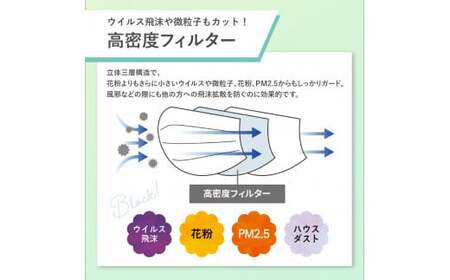 【定期便】シャープ製 抗菌タイプ 不織布マスク ふつう サイズ 30枚入×12回 計360枚 | 日本製 国産 シャープ マスク マスク マスク マスク マスク マスク SH-2012