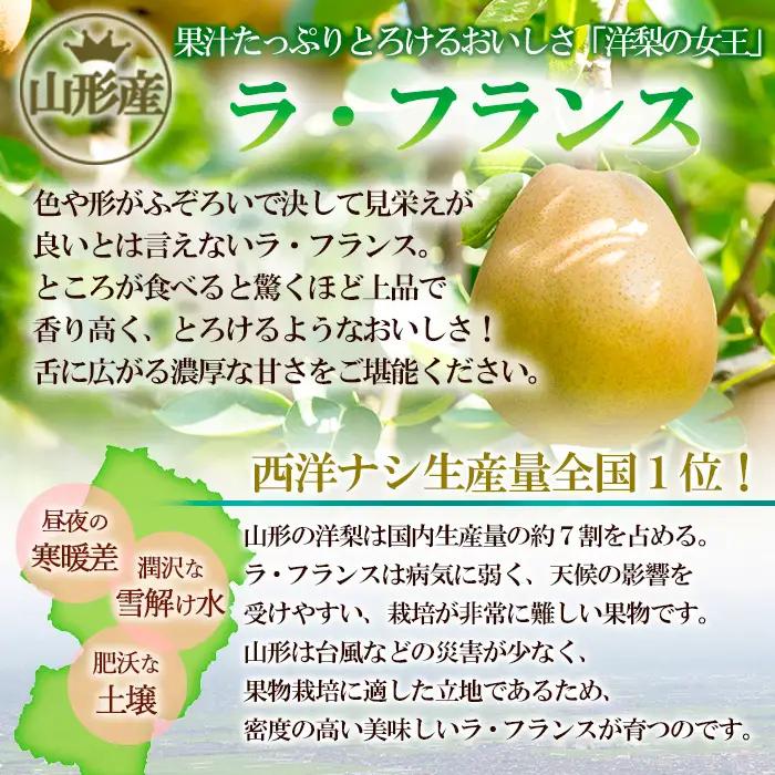 【家庭用】山形産 ラ・フランス 3kg (7～12玉)【令和8年産先行予約】FS25-771