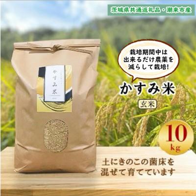 ふるさと納税 鹿嶋市 令和8年新米　栽培期間出来るだけ農薬を減らして作る「かすみ米」玄米10kg茨城県共通返礼品・潮来市産