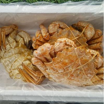 ふるさと納税 根室市 <12/21まで年内配送>★クリガニ3尾(計900g前後) A-57057 |  | 01
