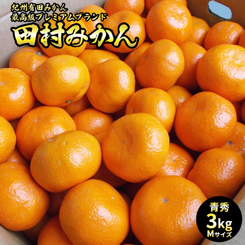 【2026年先行予約】「高級 田村みかん」 青秀 約3kg Mサイズ 和歌山県有田産 有田みかん_U6239n