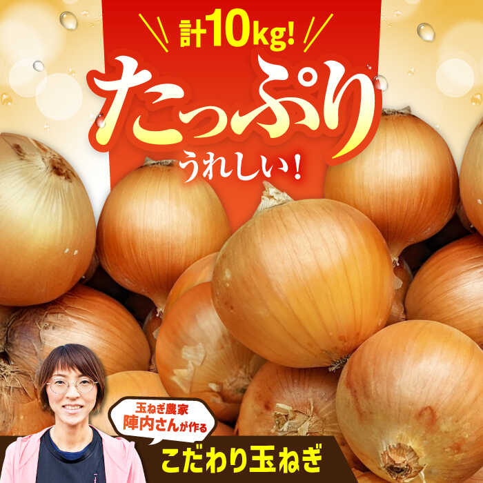 【ふるさと納税】【先行予約】農家直送！玉葱農家のこだわり玉ねぎ 約10kg【玉葱農家 陣内ちひろ】たまねぎ タマネギ 野菜 [IAO001]